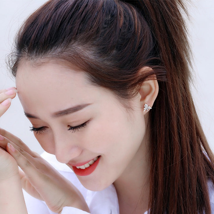 S925 silver pin with zircon earrings